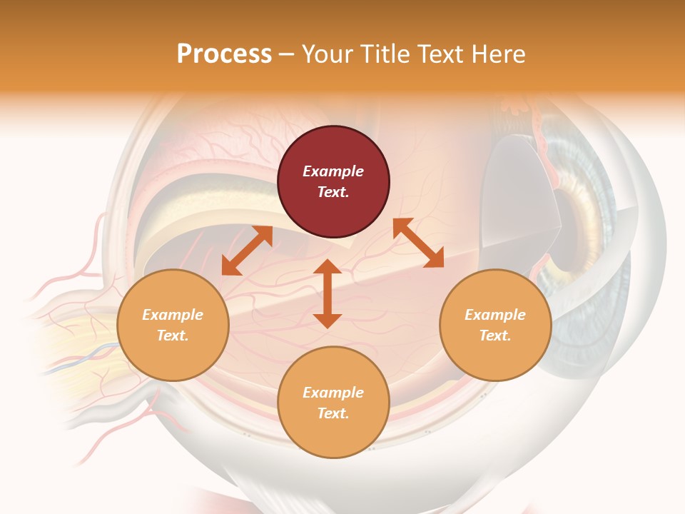 Anatomy Iris View PowerPoint Template
