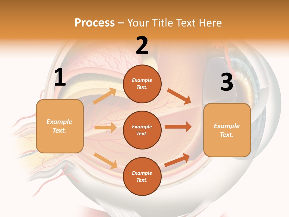 Anatomy Iris View PowerPoint Template