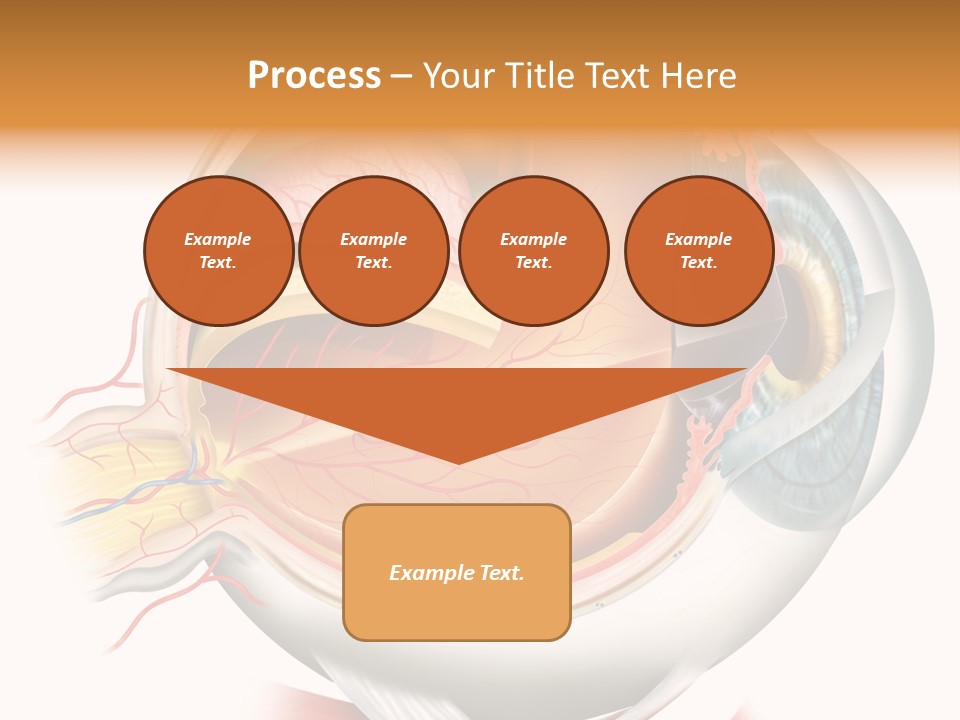 Anatomy Iris View PowerPoint Template