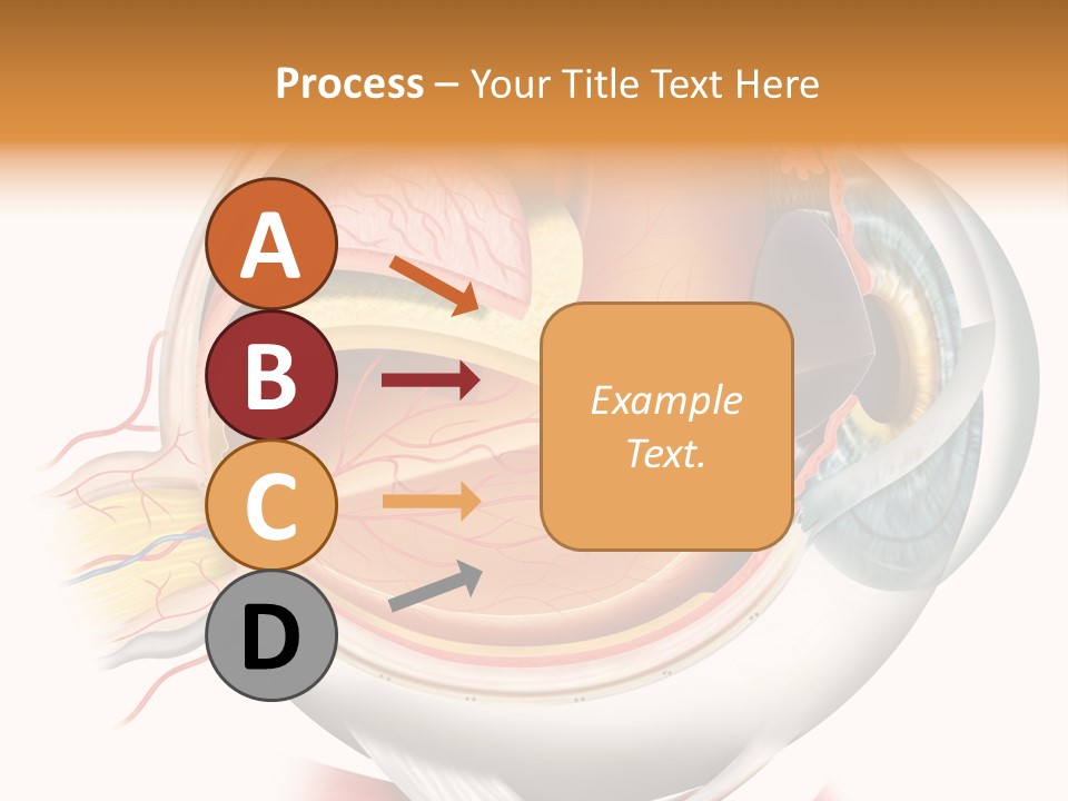 Anatomy Iris View PowerPoint Template