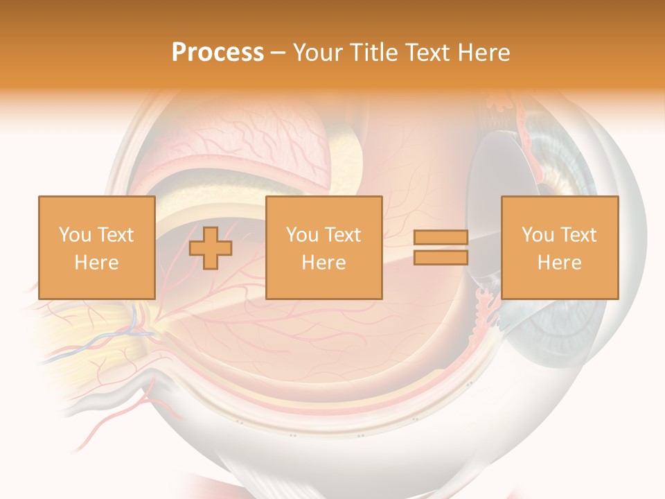 Anatomy Iris View PowerPoint Template