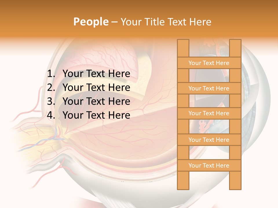 Anatomy Iris View PowerPoint Template