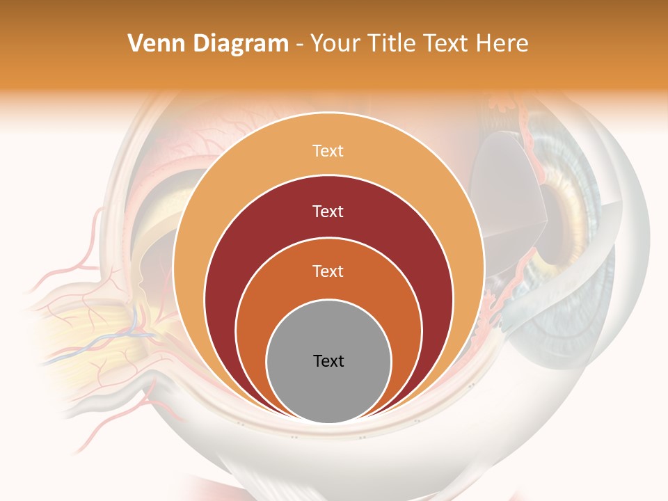 Anatomy Iris View PowerPoint Template