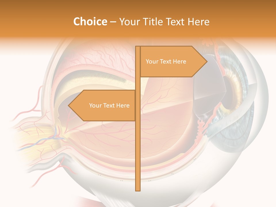 Anatomy Iris View PowerPoint Template