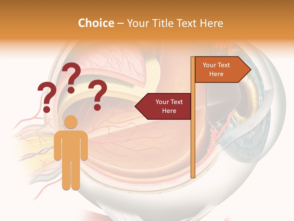 Anatomy Iris View PowerPoint Template