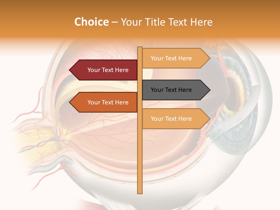 Anatomy Iris View PowerPoint Template