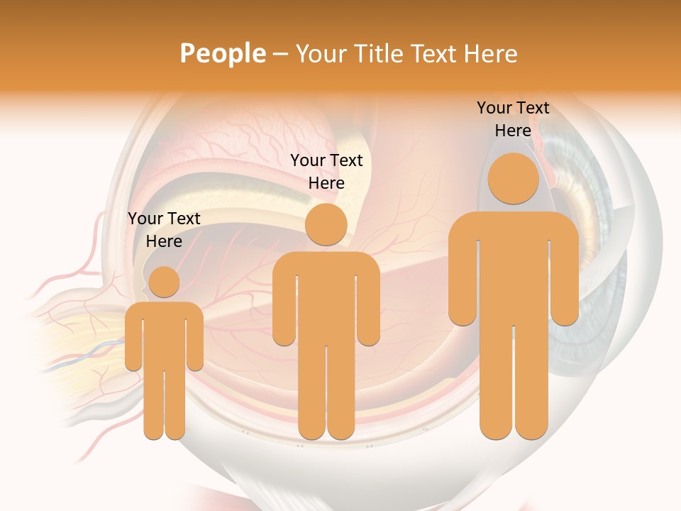 Anatomy Iris View PowerPoint Template