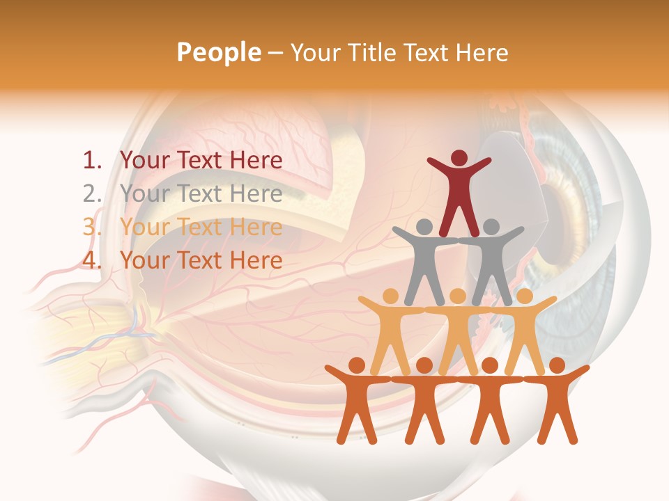 Anatomy Iris View PowerPoint Template