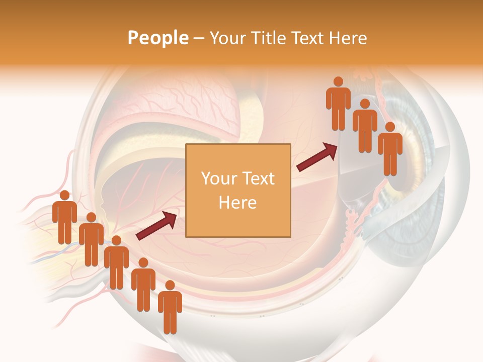 Anatomy Iris View PowerPoint Template