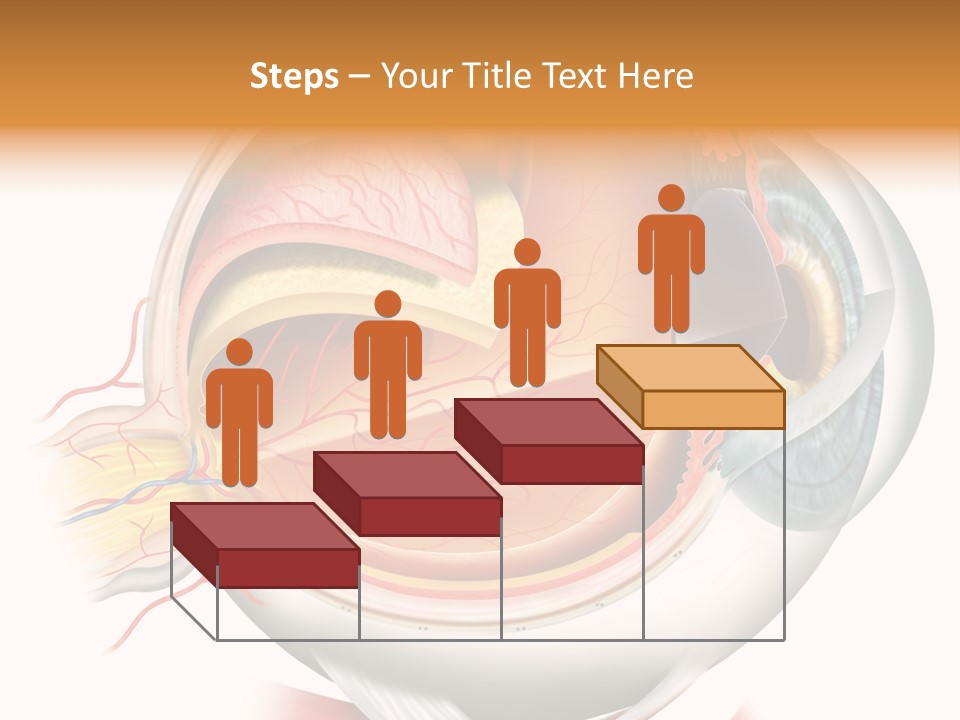 Anatomy Iris View PowerPoint Template