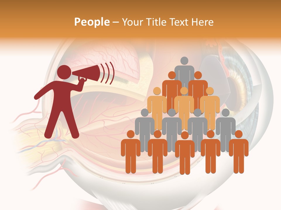 Anatomy Iris View PowerPoint Template