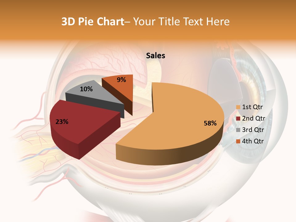 Anatomy Iris View PowerPoint Template