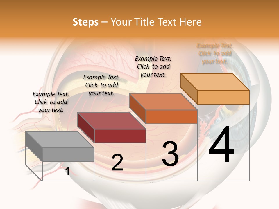 Anatomy Iris View PowerPoint Template