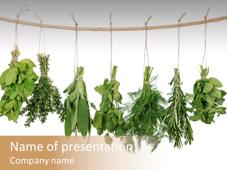 Sativa Clothespin Food PowerPoint Template