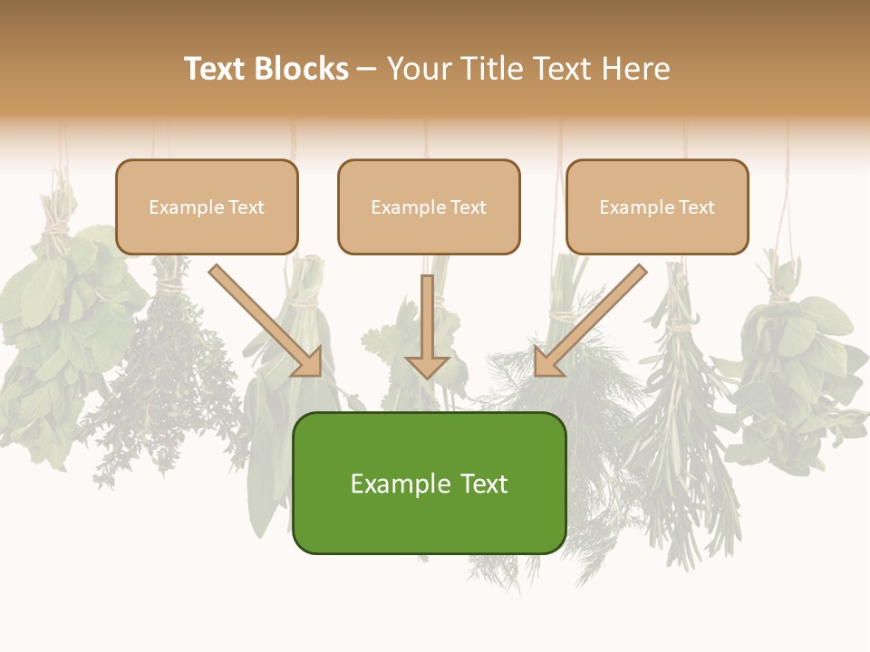 Sativa Clothespin Food PowerPoint Template