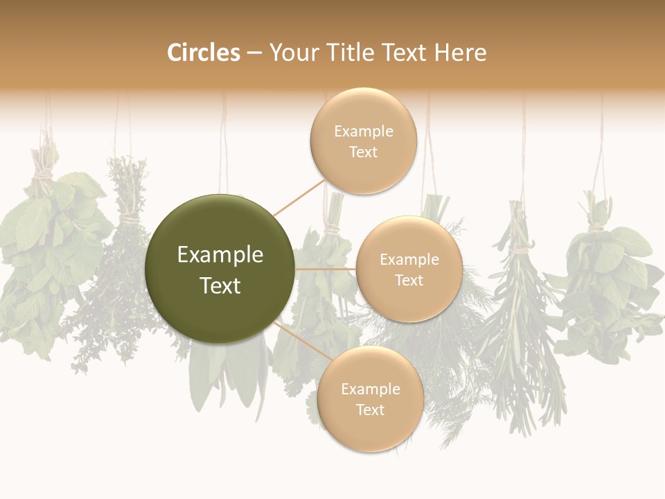 Sativa Clothespin Food PowerPoint Template