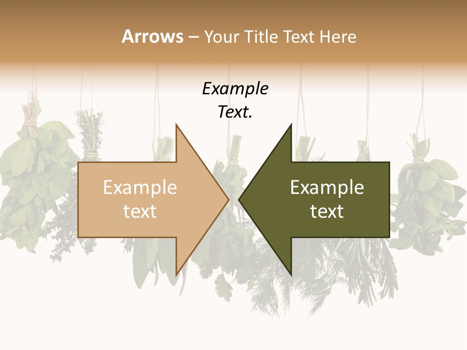 Sativa Clothespin Food PowerPoint Template