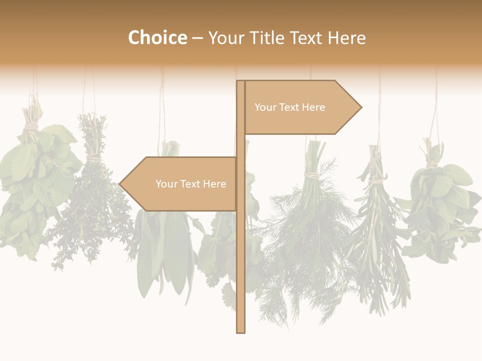 Sativa Clothespin Food PowerPoint Template