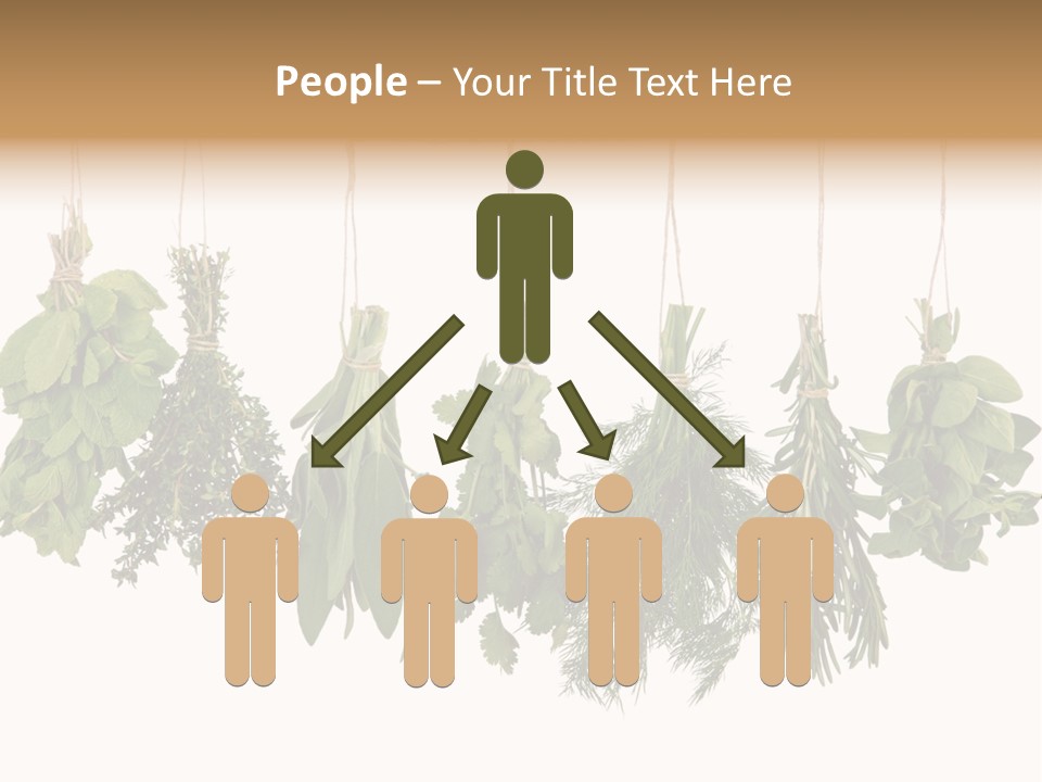 Sativa Clothespin Food PowerPoint Template