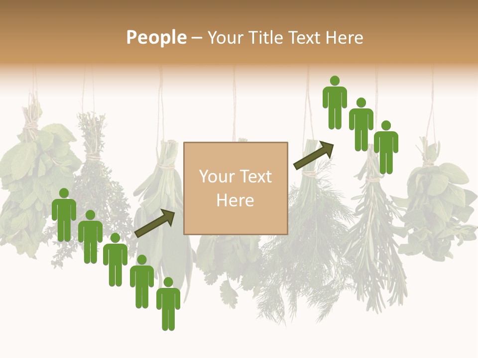 Sativa Clothespin Food PowerPoint Template