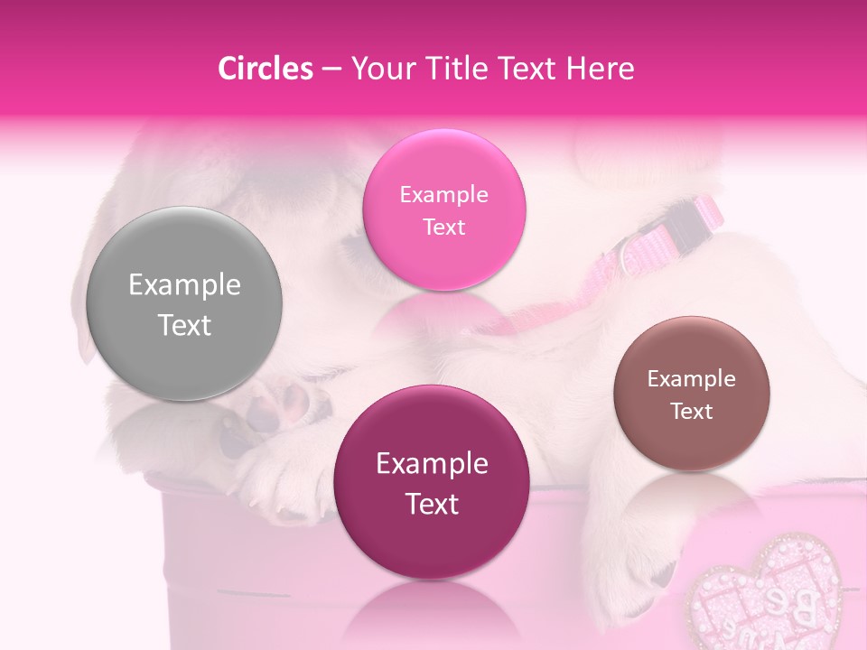 Critter Two Doggy PowerPoint Template