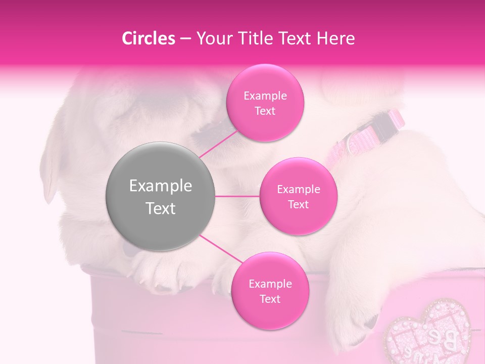 Critter Two Doggy PowerPoint Template