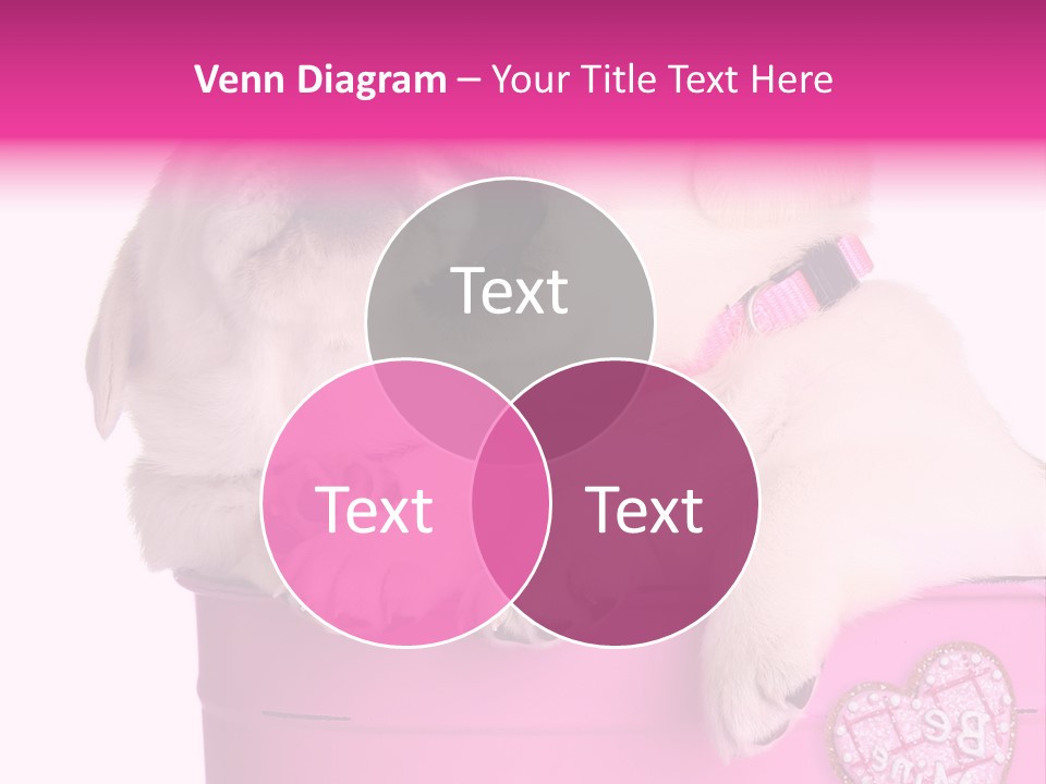 Critter Two Doggy PowerPoint Template