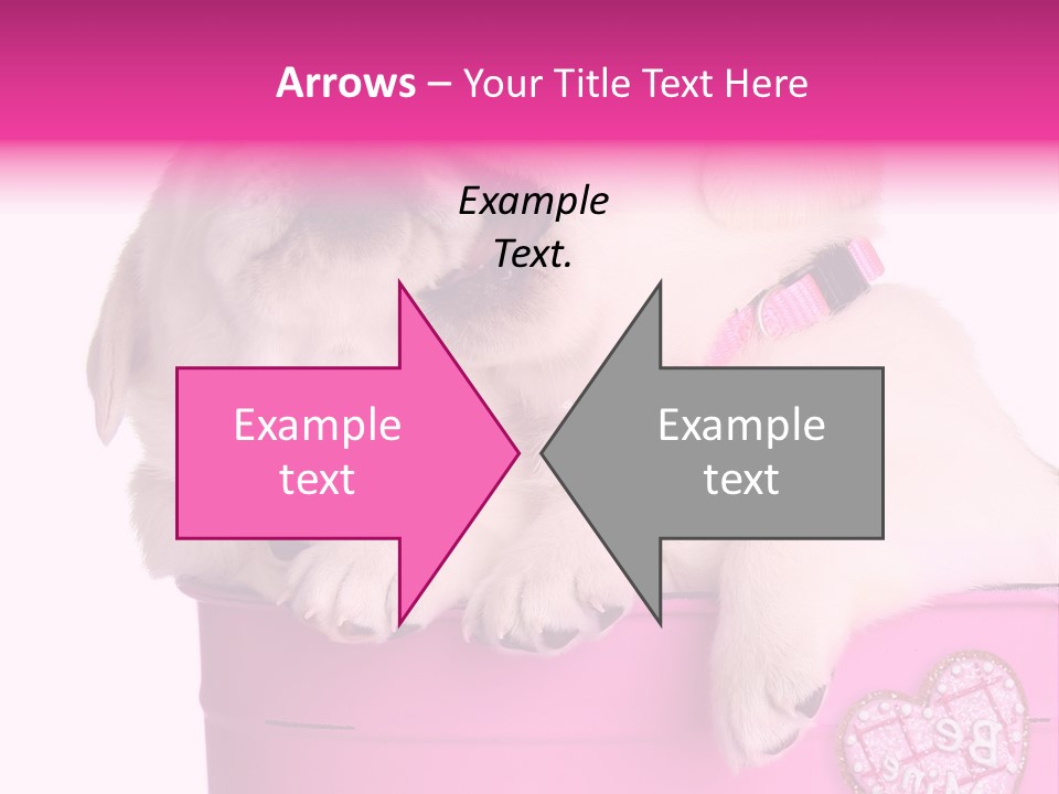 Critter Two Doggy PowerPoint Template