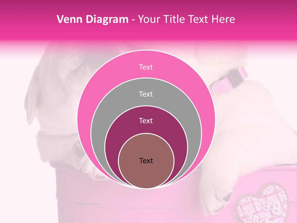 Critter Two Doggy PowerPoint Template