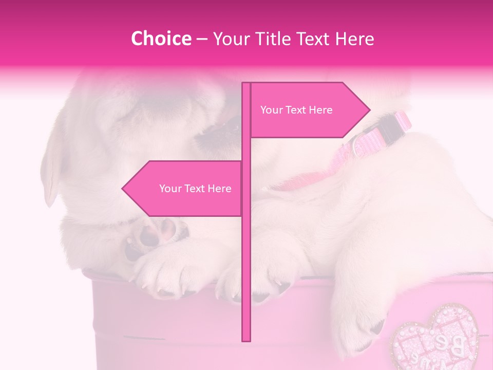 Critter Two Doggy PowerPoint Template