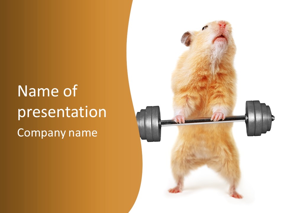 Creative Small Humour PowerPoint Template