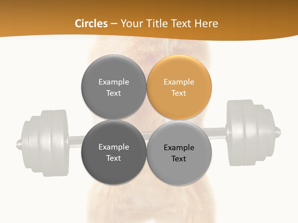 Creative Small Humour PowerPoint Template