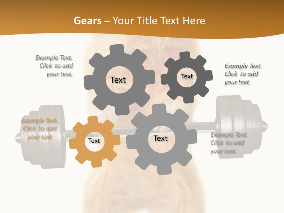 Creative Small Humour PowerPoint Template