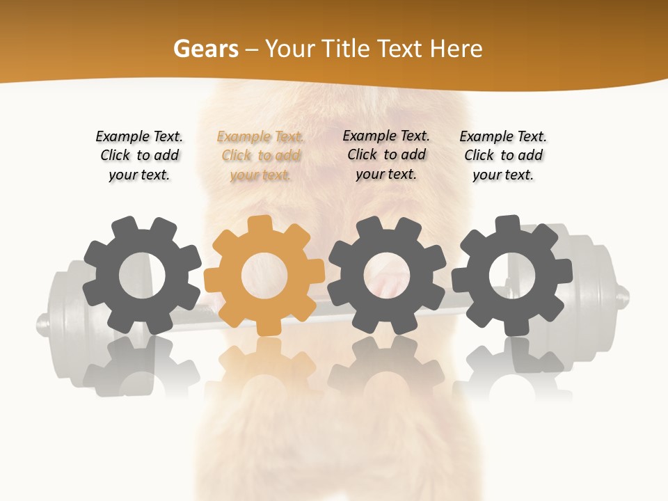 Creative Small Humour PowerPoint Template