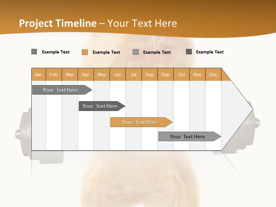 Creative Small Humour PowerPoint Template