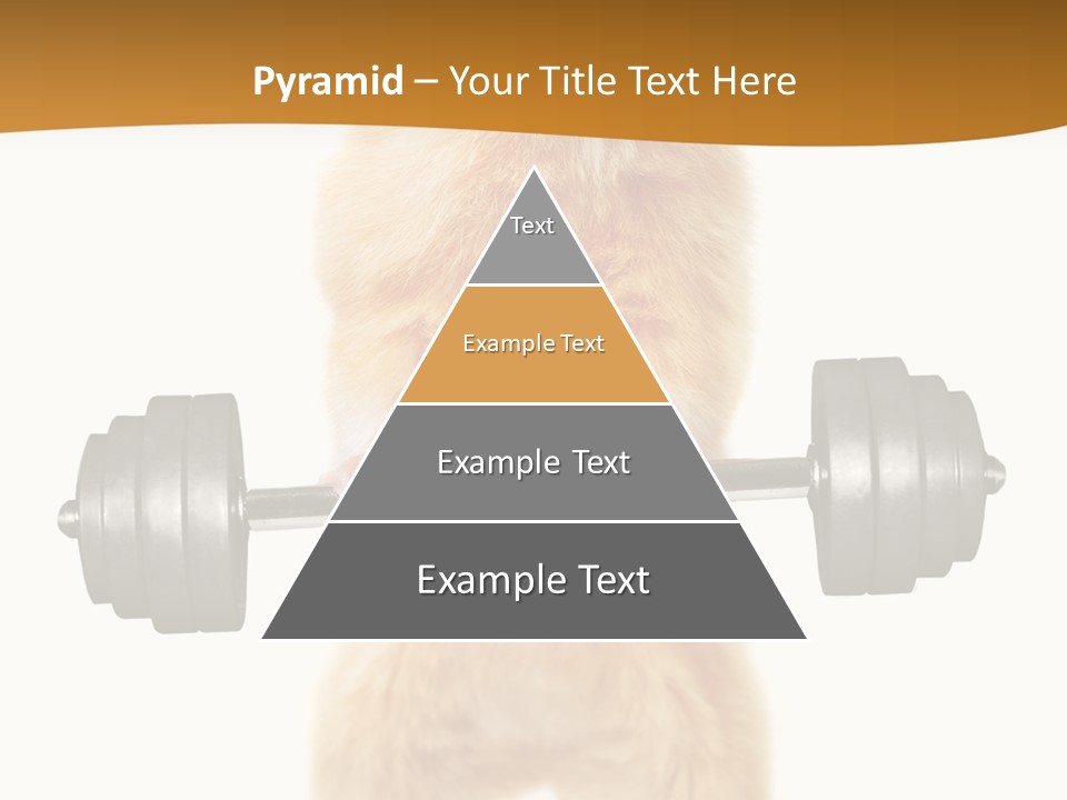 Creative Small Humour PowerPoint Template