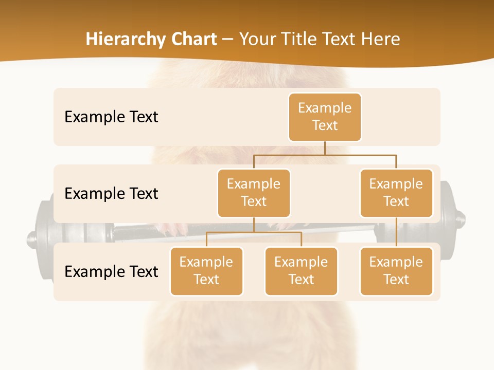 Creative Small Humour PowerPoint Template