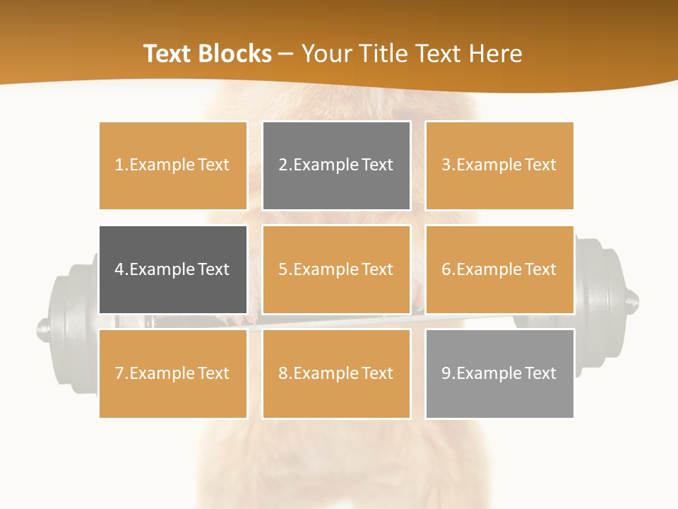 Creative Small Humour PowerPoint Template