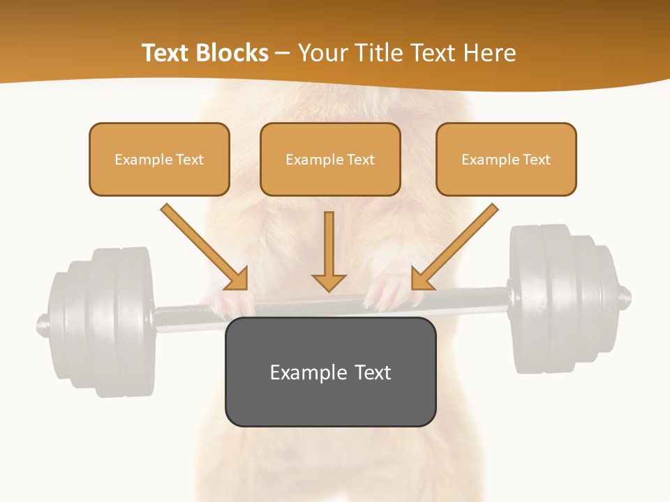 Creative Small Humour PowerPoint Template