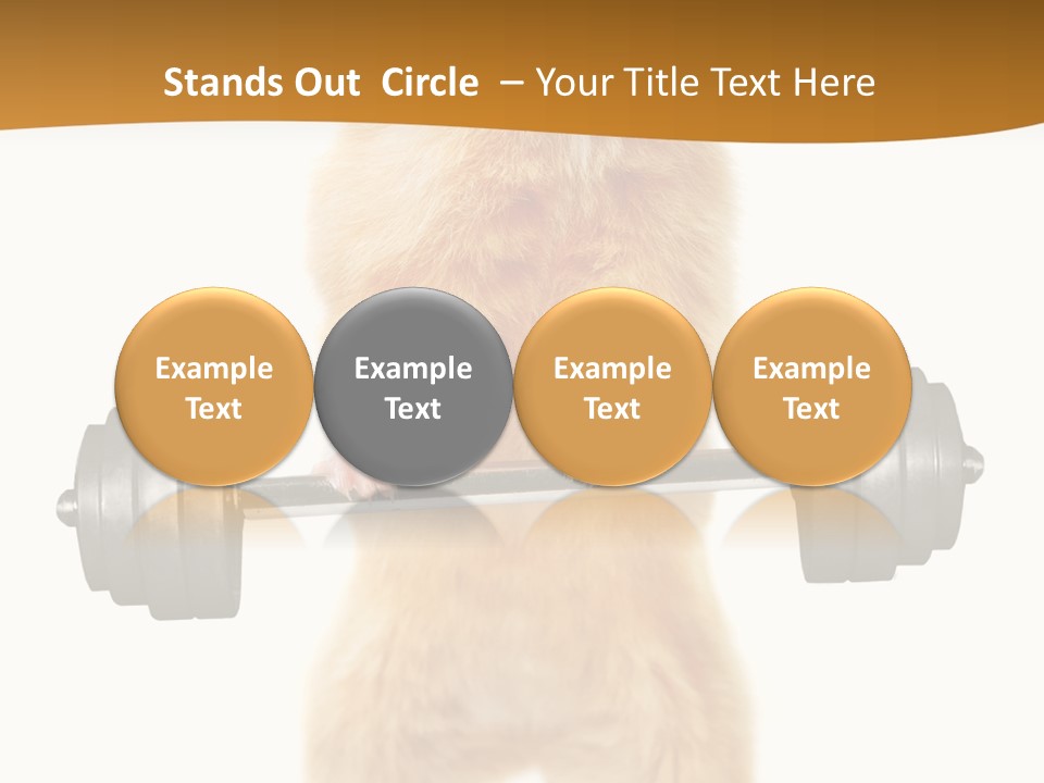 Creative Small Humour PowerPoint Template