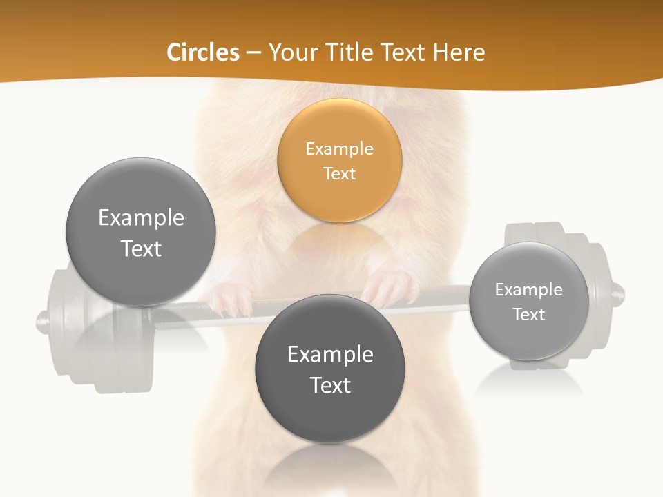 Creative Small Humour PowerPoint Template