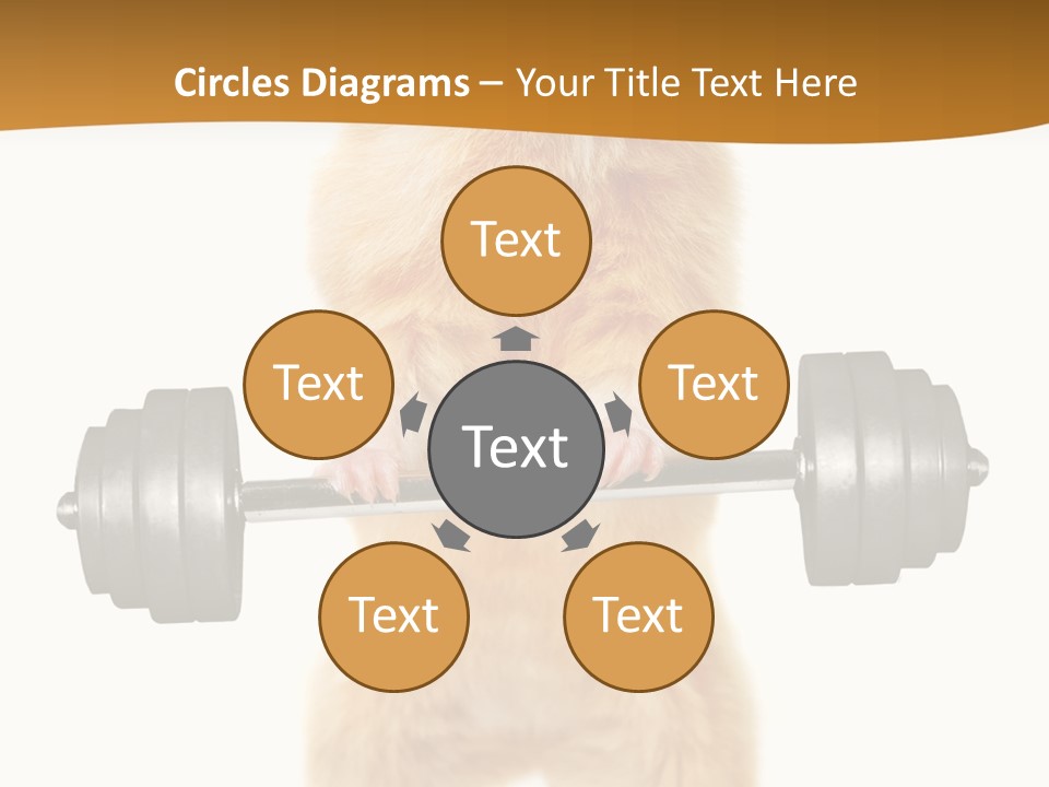 Creative Small Humour PowerPoint Template