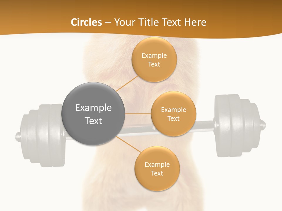 Creative Small Humour PowerPoint Template