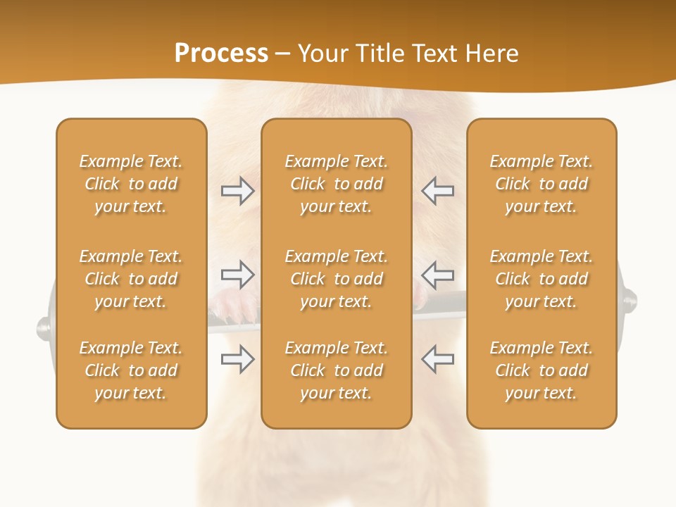 Creative Small Humour PowerPoint Template