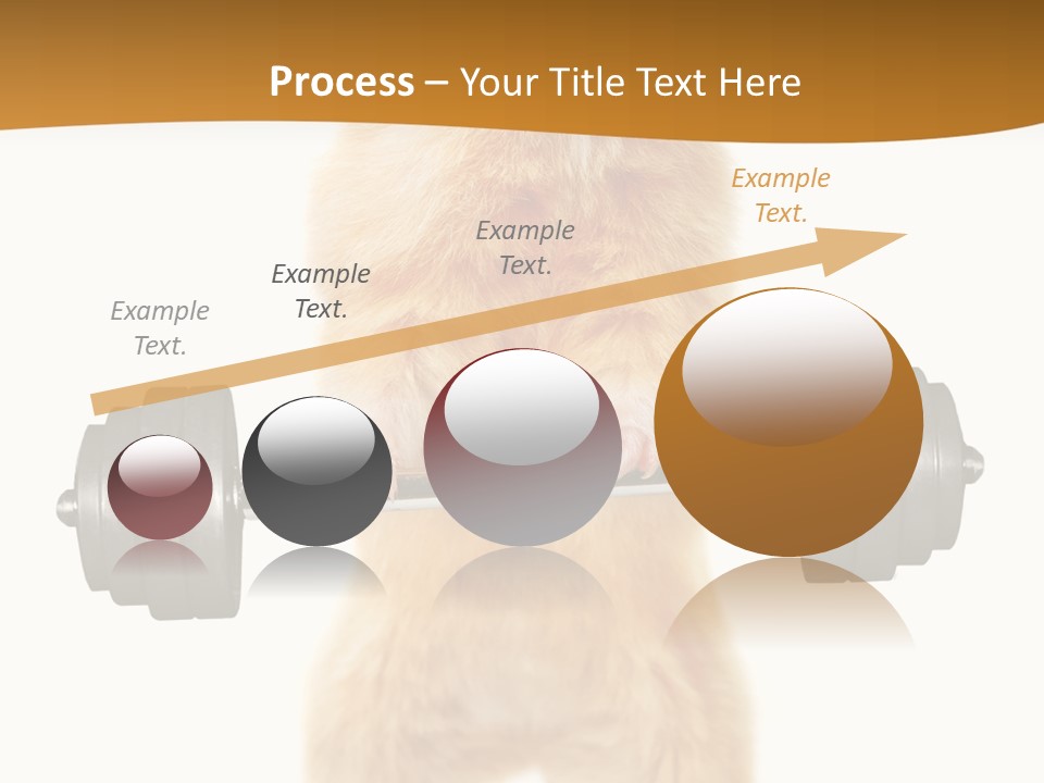 Creative Small Humour PowerPoint Template