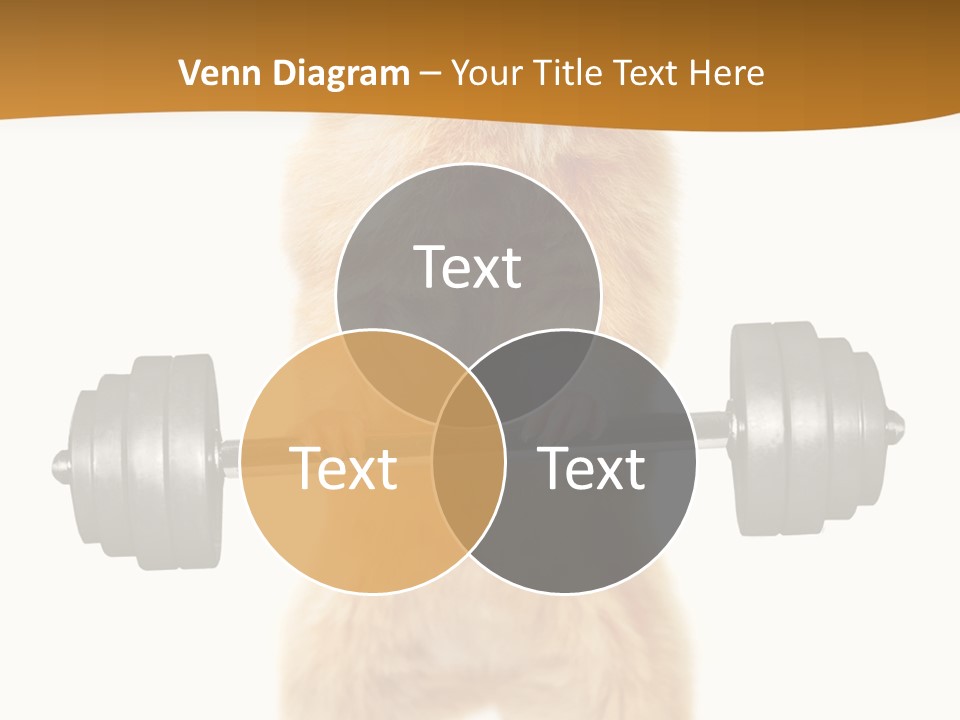 Creative Small Humour PowerPoint Template