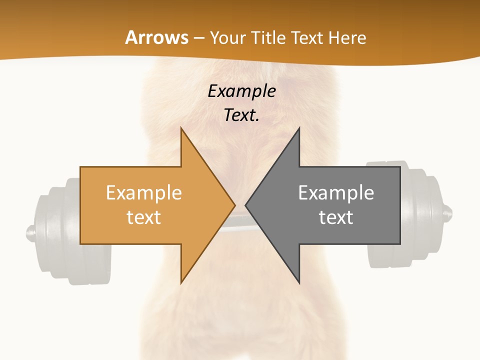 Creative Small Humour PowerPoint Template