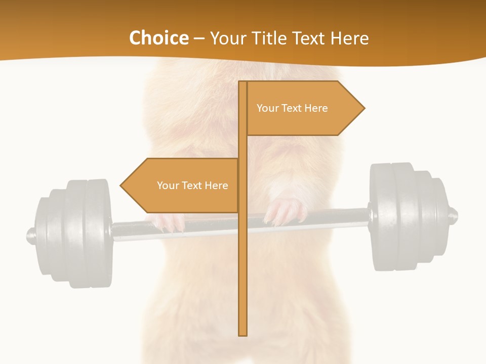 Creative Small Humour PowerPoint Template