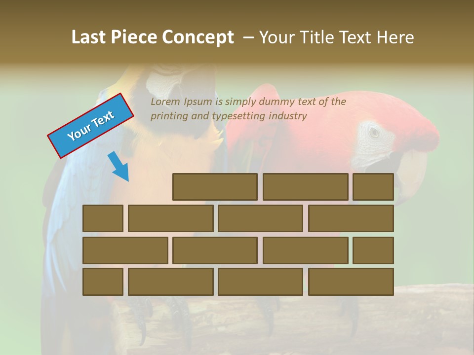 Cute Mccaw Talking PowerPoint Template