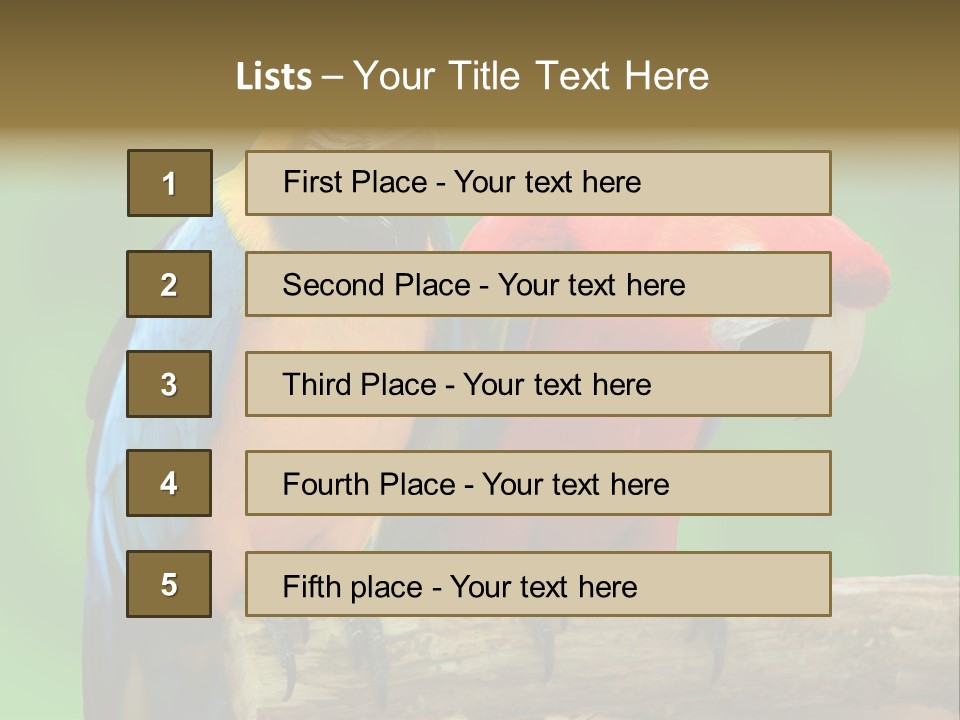 Cute Mccaw Talking PowerPoint Template